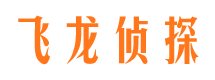 宁晋找人公司